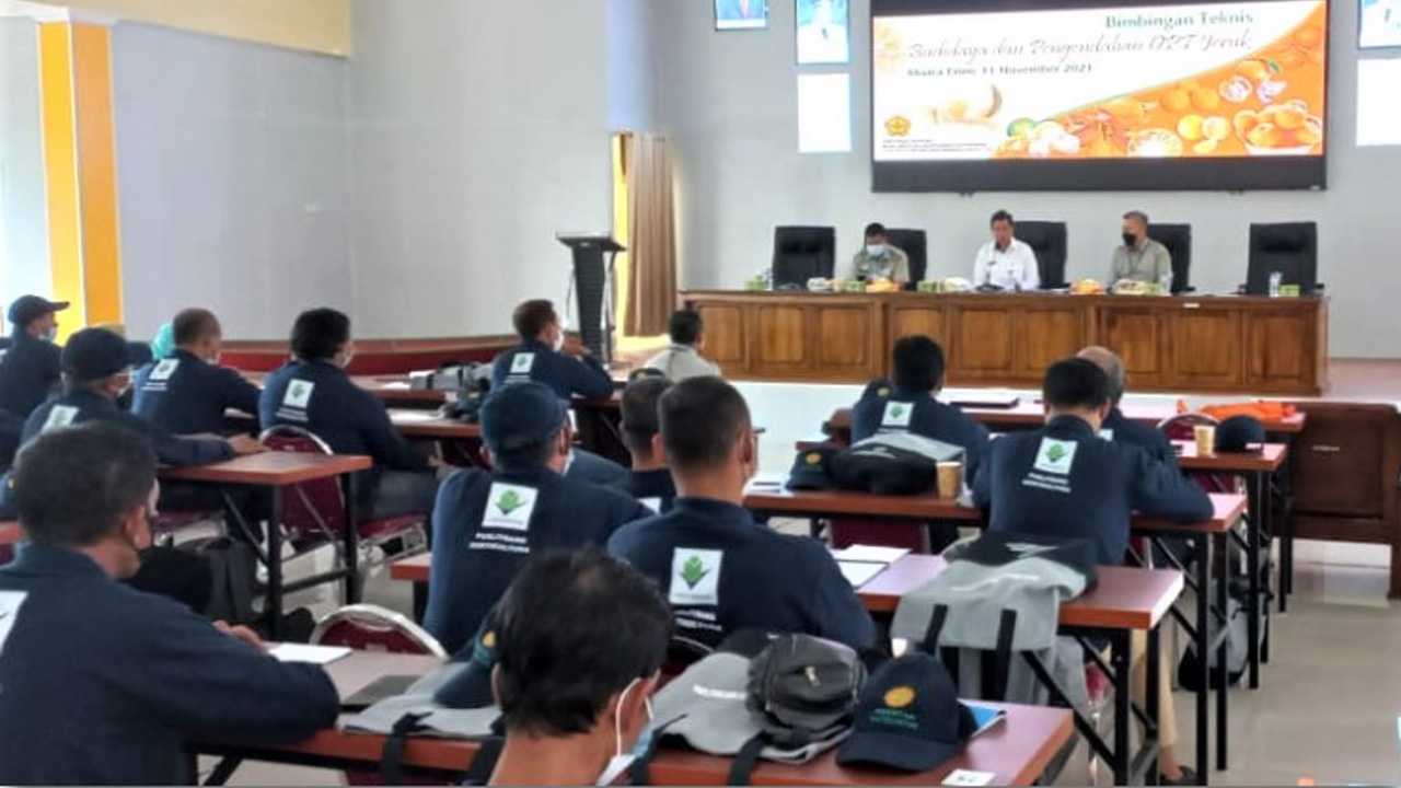 Bimtek Budidaya Jeruk